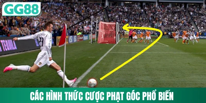 Kèo Phạt Góc - Các Dạng Kèo Phổ Biến Và Cách Phân Biệt 2 Các hình thức cược phạt góc phổ biến