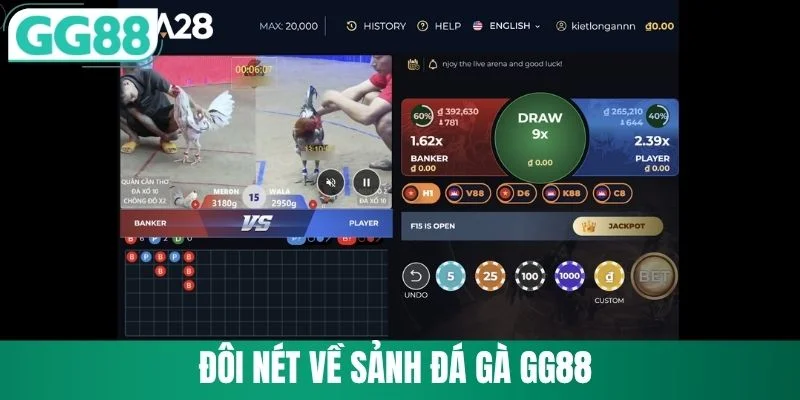 Đôi nét về sảnh đá gà GG88