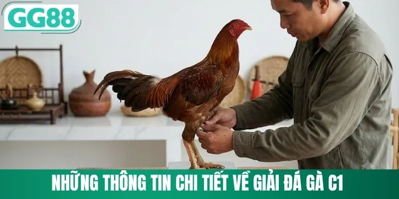 Những thông tin chi tiết về giải đá gà C1 