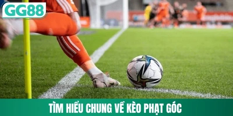Kèo Phạt Góc - Các Dạng Kèo Phổ Biến Và Cách Phân Biệt 1 Tìm hiểu chung về kèo phạt góc