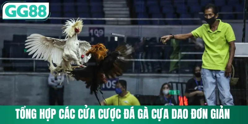 Tổng hợp các cửa cược đá gà cựa dao đơn giản